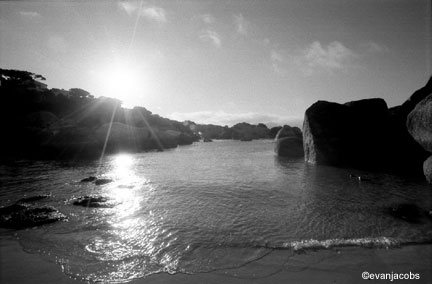 Boulder Beach, Cape Town 