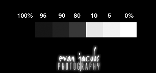 Monitor Calibration Scale