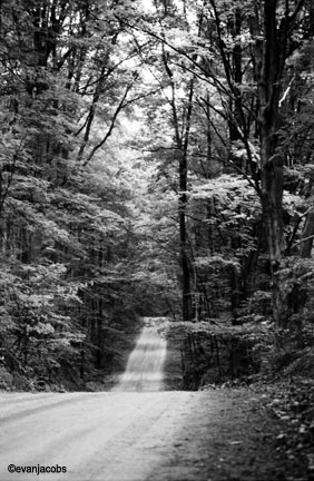 Wright Road, Michigan